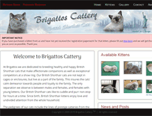 Tablet Screenshot of brigatto.com